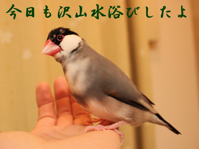 c0365734_22085804.jpg