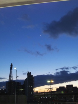 c0056437_1839321.jpg