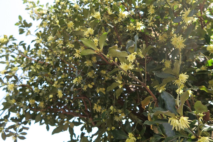 d0333943_6273075.jpg