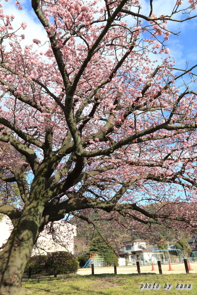 c0332548_18121249.jpg
