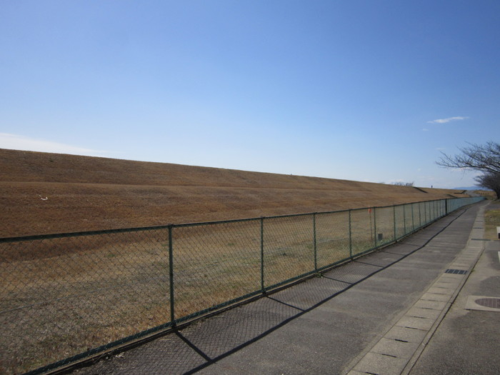 b0194556_2073465.jpg