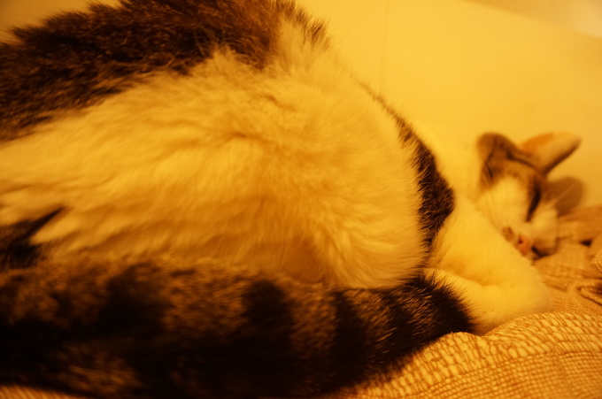 f0257756_1363412.jpg