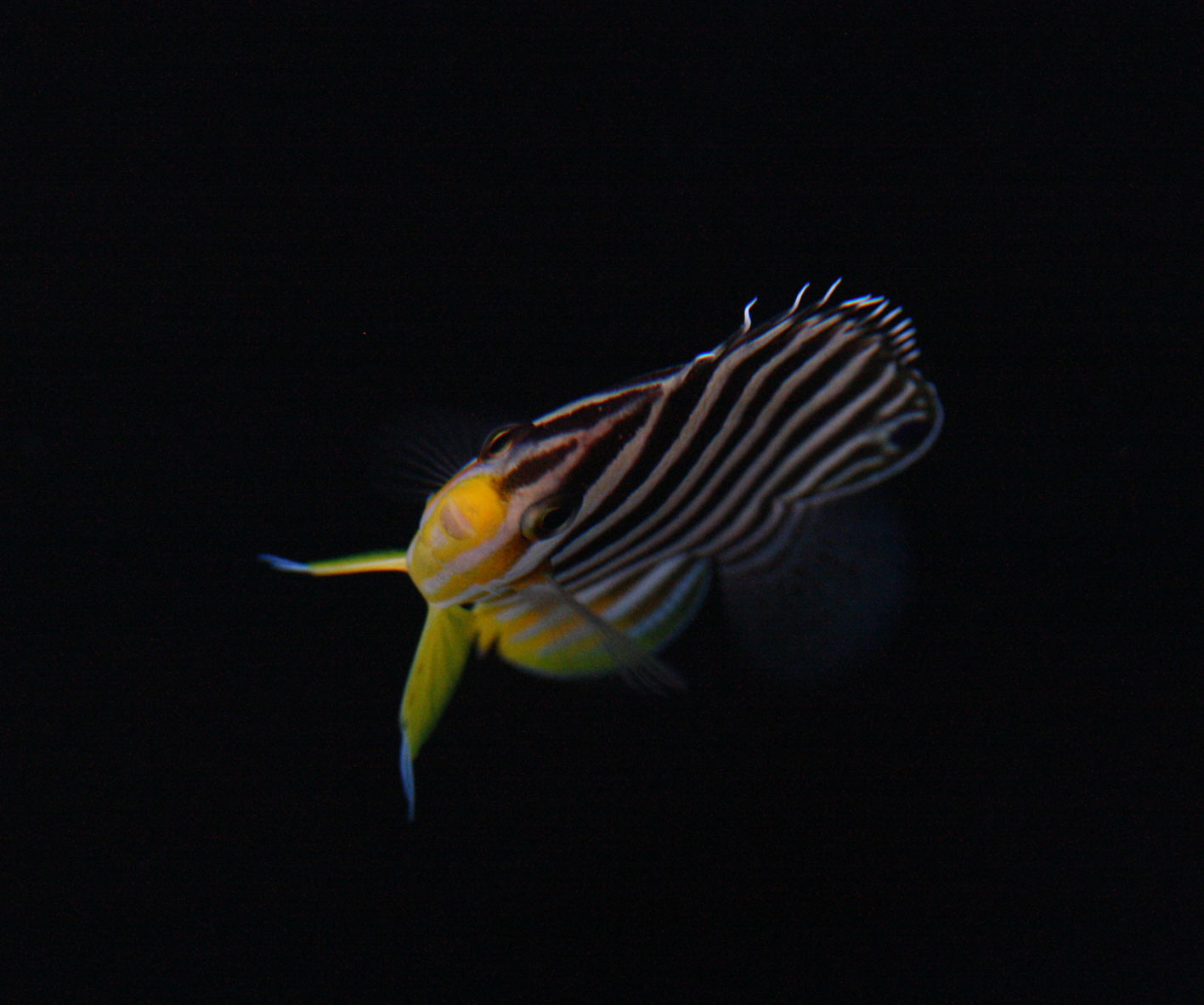 c0165758_2195480.jpg