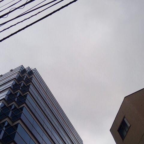 e0137561_1463982.jpg