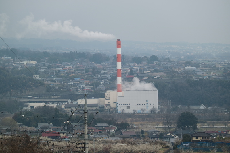 f0345263_20383763.jpg