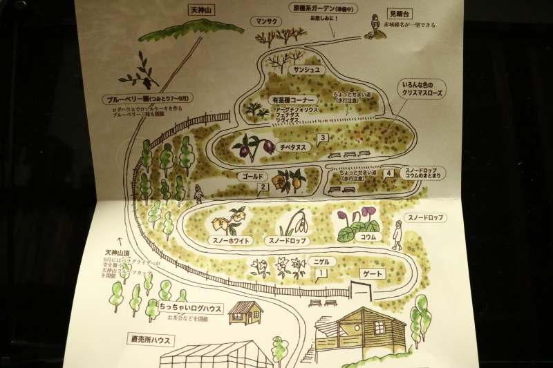 f0345263_20564749.jpg