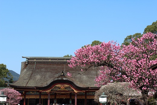 c0141268_2115930.jpg