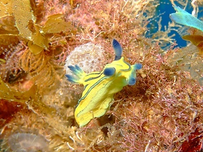b0033573_18434154.jpg