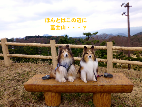 a0157174_21332955.png
