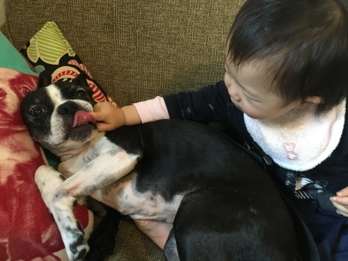 d0041575_22002299.jpeg