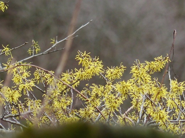 f0357487_21114330.jpg