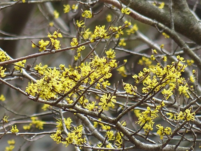 f0357487_21124192.jpg
