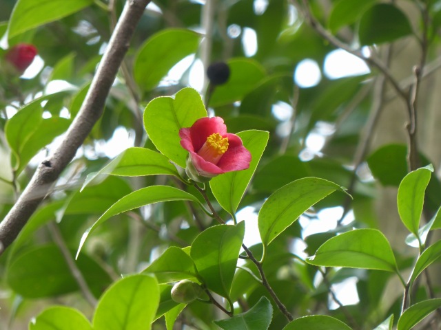 f0357487_21223068.jpg