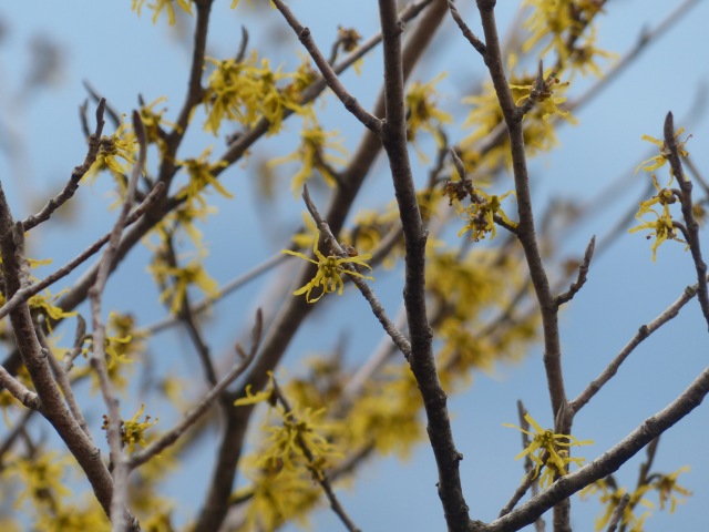 f0357487_2131865.jpg