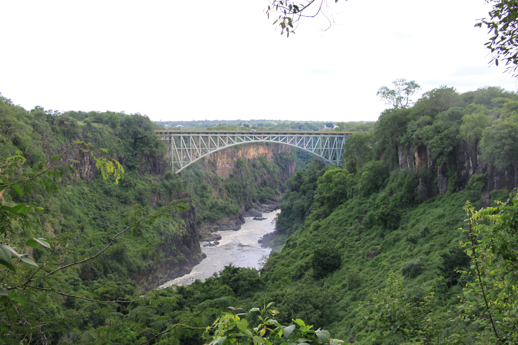 b0177792_91159.jpg