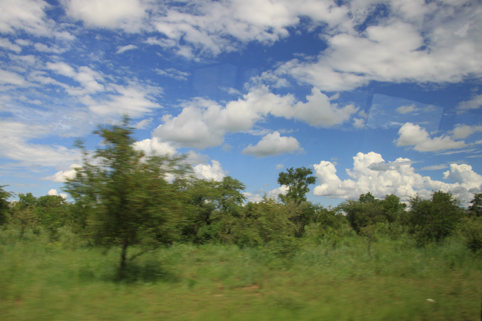 b0177792_995993.jpg