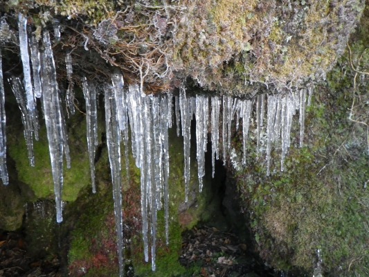 f0187402_20104451.jpg