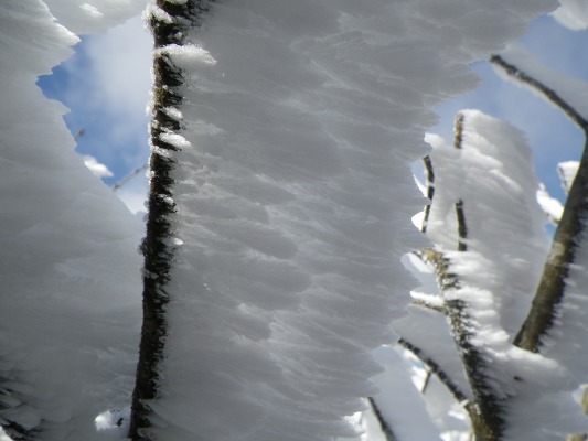 f0187402_2082092.jpg