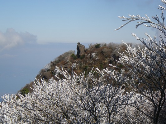 f0187402_208987.jpg