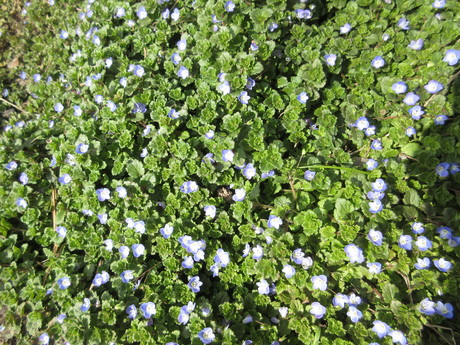 a0203003_20243581.jpg