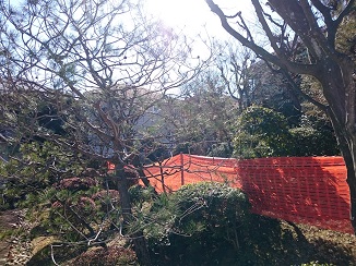 d0091909_959535.jpg