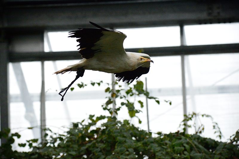 f0032011_18514284.jpg