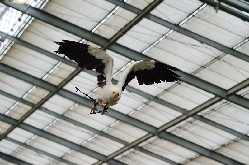 f0032011_1852568.jpg