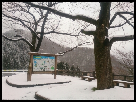 c0352015_22024672.jpg
