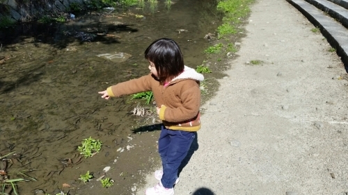 e0136815_23342384.jpg