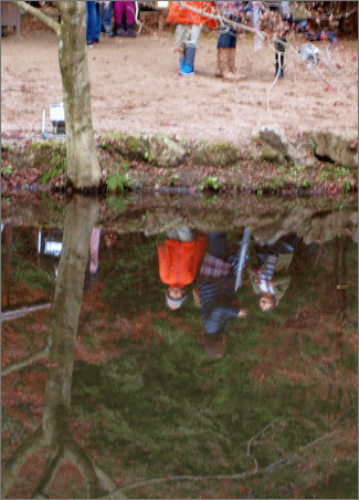 d0114517_159972.gif