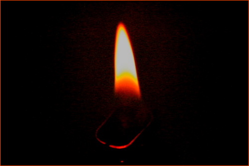 f0212217_232903.jpg