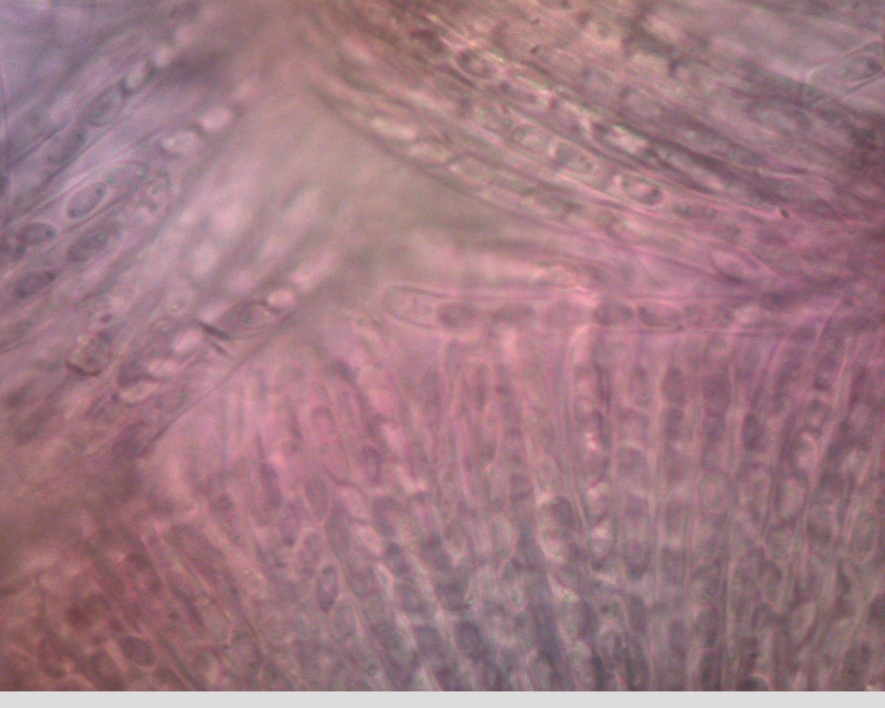 e0352220_16360178.jpg