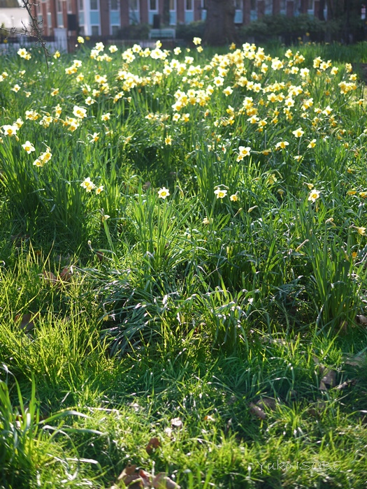a0169924_20231441.jpg