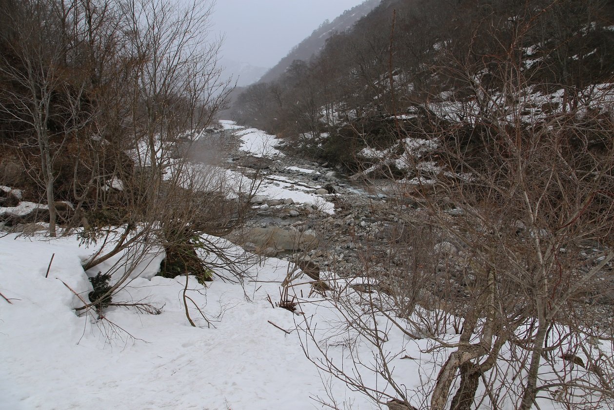 b0062024_6314644.jpg