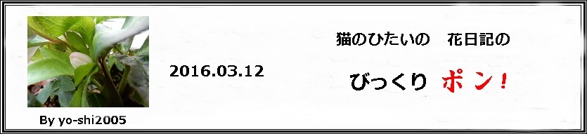 e0033229_154229.jpg