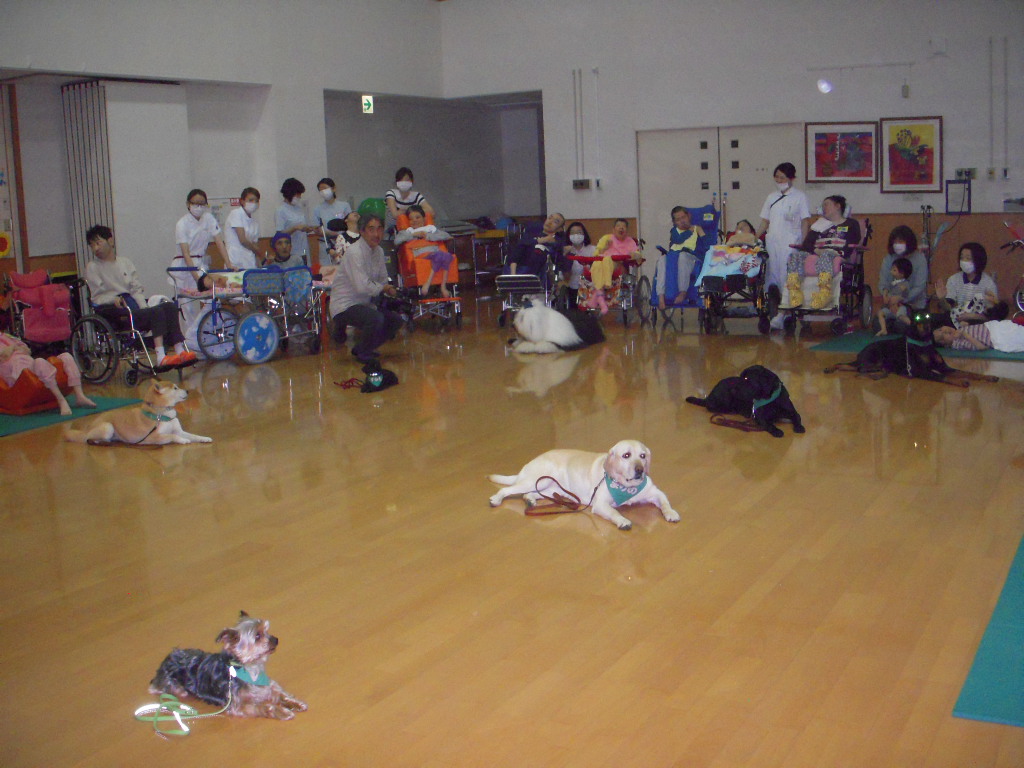 c0114833_17593854.jpg