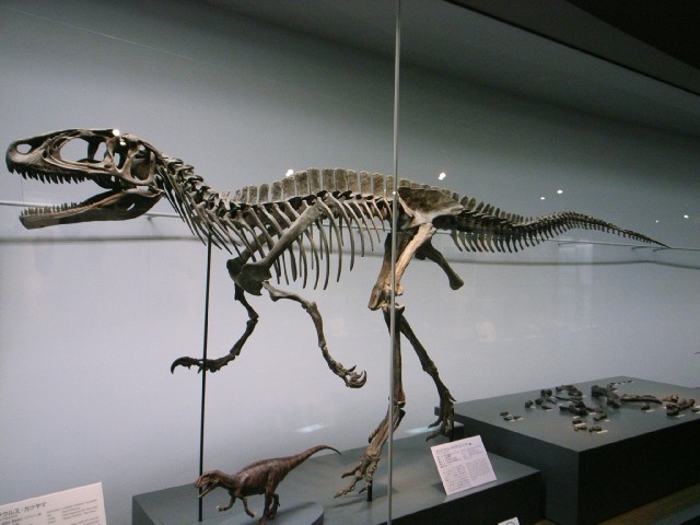 c0125735_9245522.jpg
