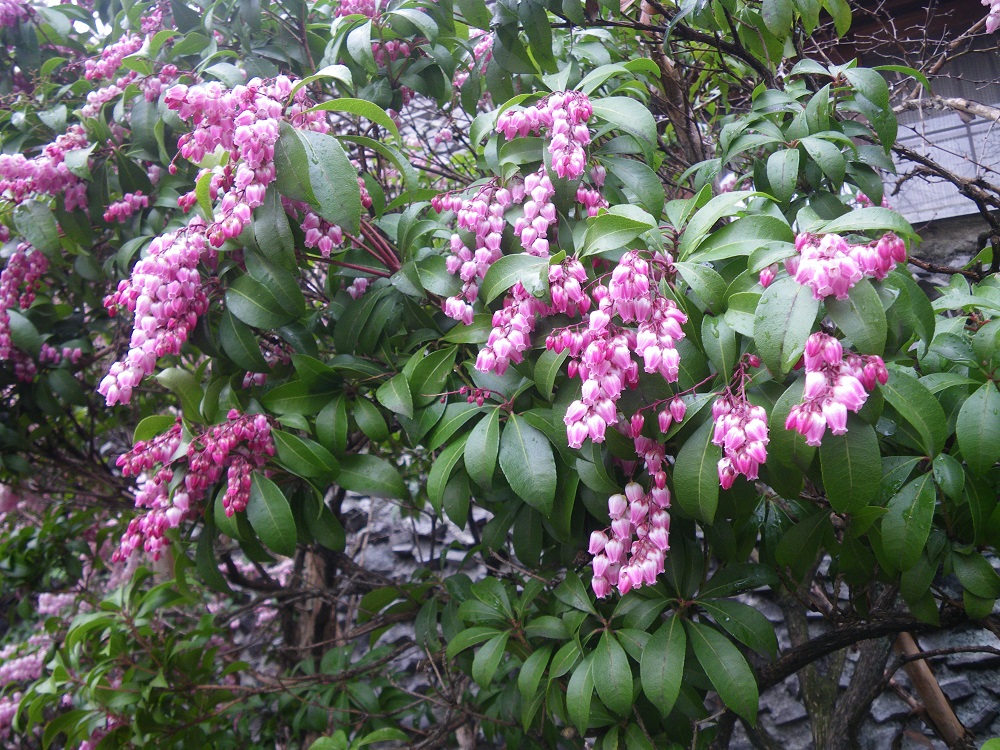 c0033636_075987.jpg