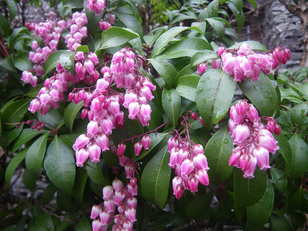 c0033636_083255.jpg