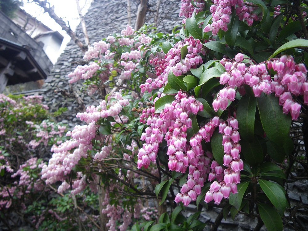 c0033636_091383.jpg