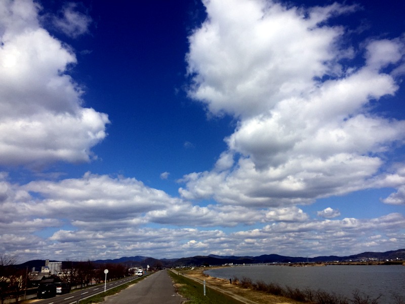 b0057140_2019735.jpg