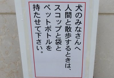 a0142343_14461621.jpg