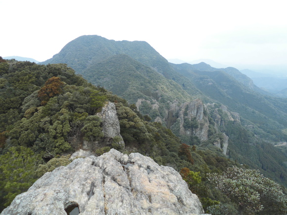 a0206345_1512277.jpg