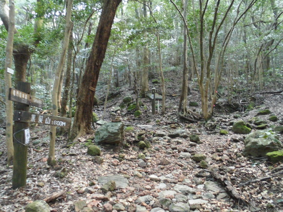 a0206345_15222797.jpg