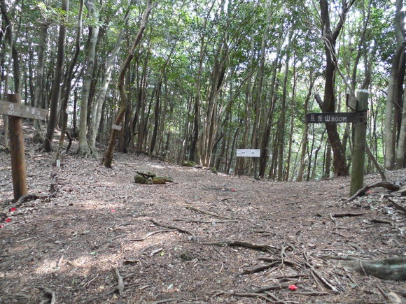 a0206345_1526998.jpg