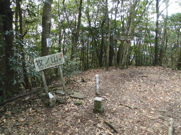 a0206345_1675440.jpg