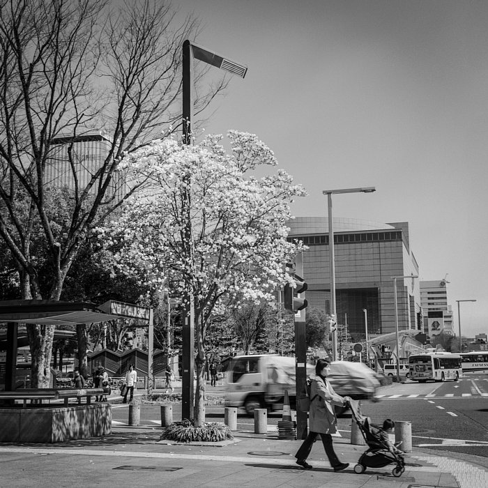 b0175964_2237251.jpg