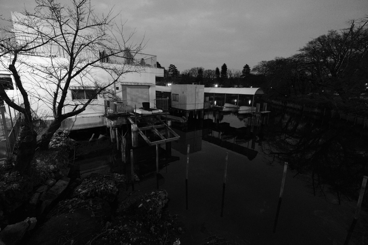 c0084666_10042651.jpg