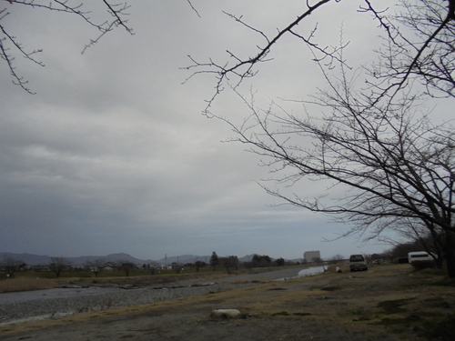a0209173_335742.jpg