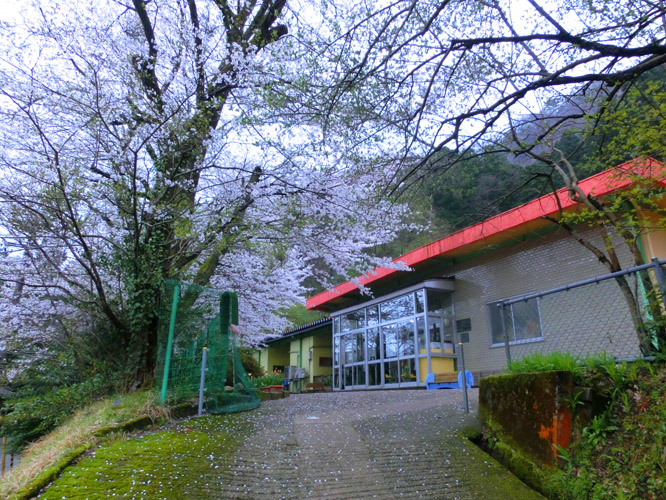 d0095673_17175469.jpg